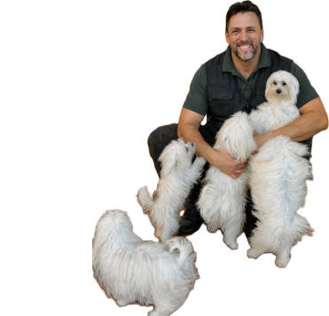 Man holding several white dogs, including a Coton de Tulear puppy.