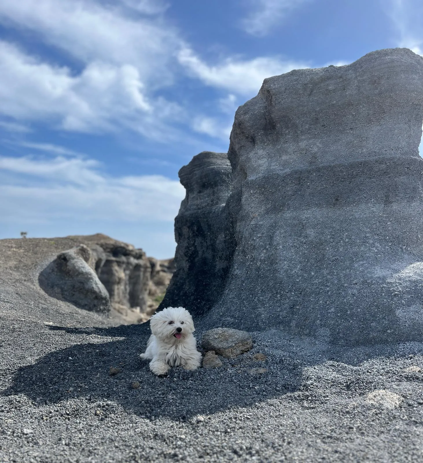 Perro pequeño de raza Bichón Maltés descansando en un paisaje rocoso con cielo azul y nubes.