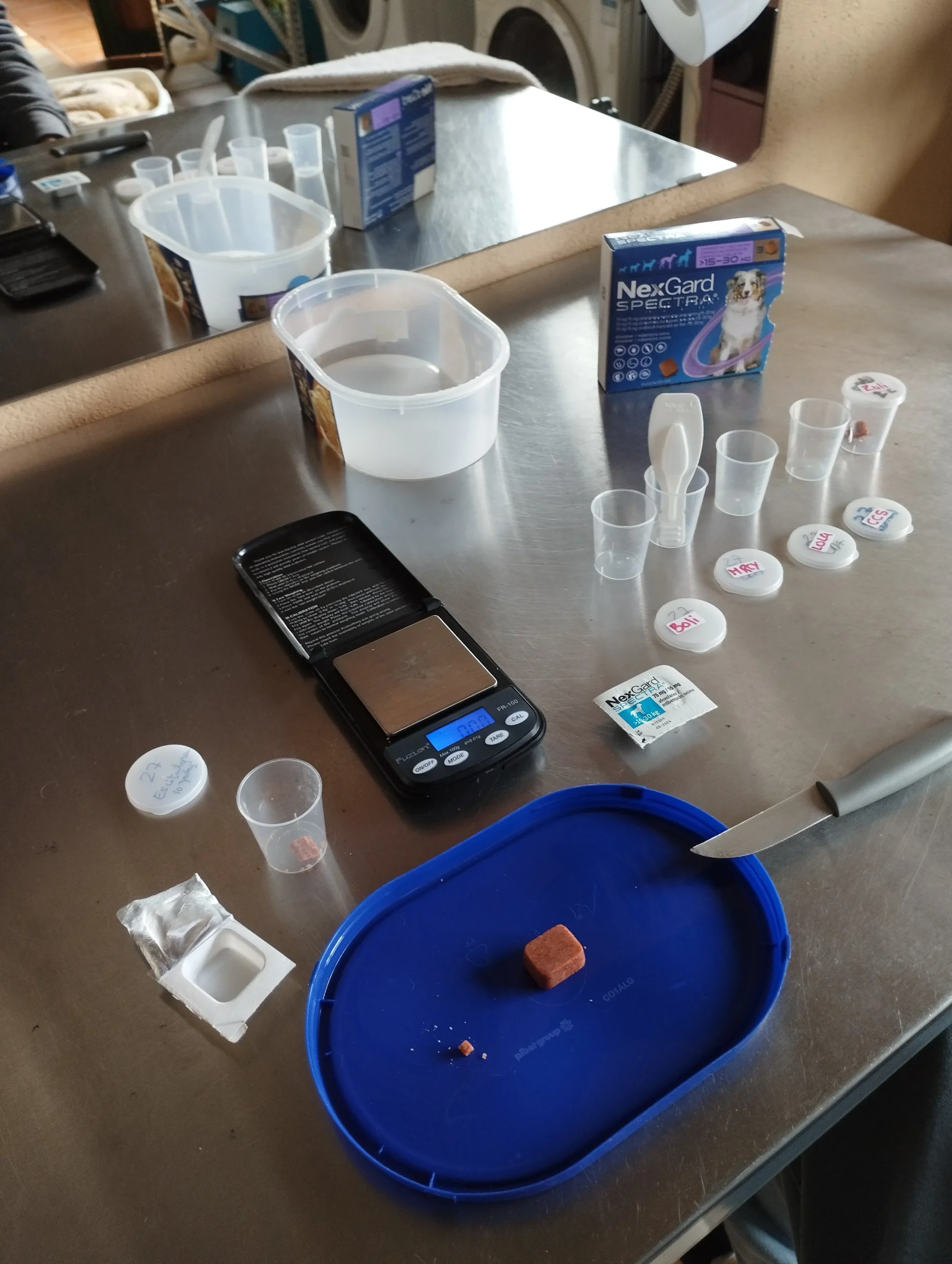Imagen de un área de trabajo con herramientas para la dosificación de medicamentos para mascotas. Se observa una balanza digital, un recipiente transparente, varios frascos y un paquete de NexGard. Hay un trozo de medicamento sobre una bandeja azul y un cuchillo al lado. El fondo muestra un espejo y un ambiente doméstico.
